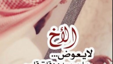 Photo of عبارات جميلة عن الأخ